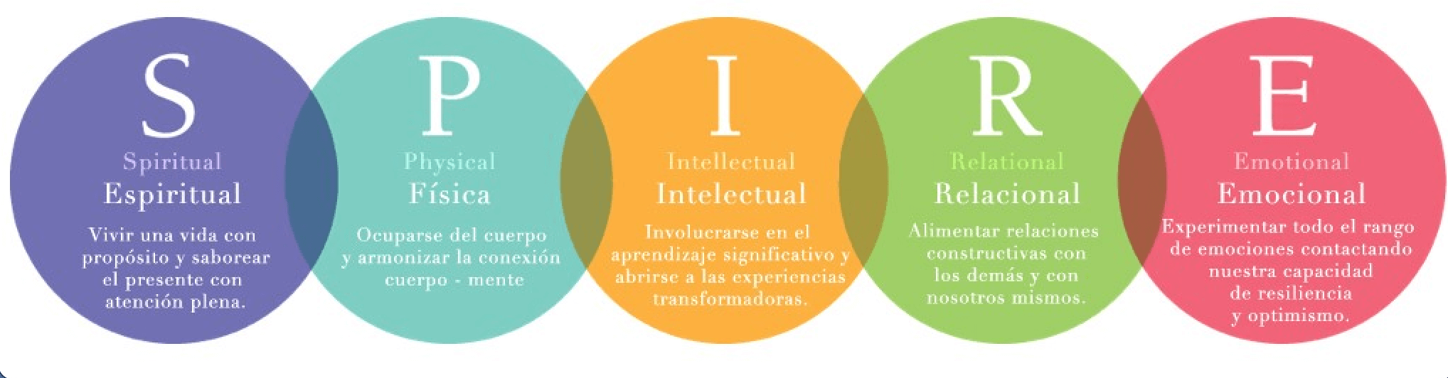 Captura de pantalla 2025-09-24 a la(s) 6.50.35 p. m. Modelo